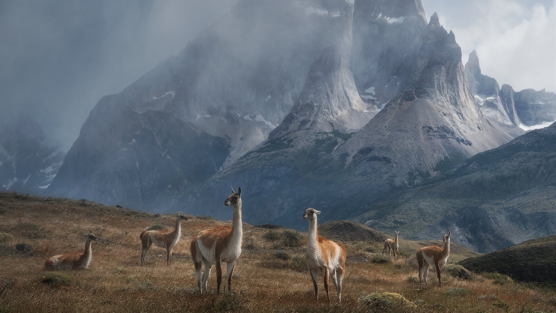 银色风暴与橙色神话,一场比赛见证两个时代的传奇