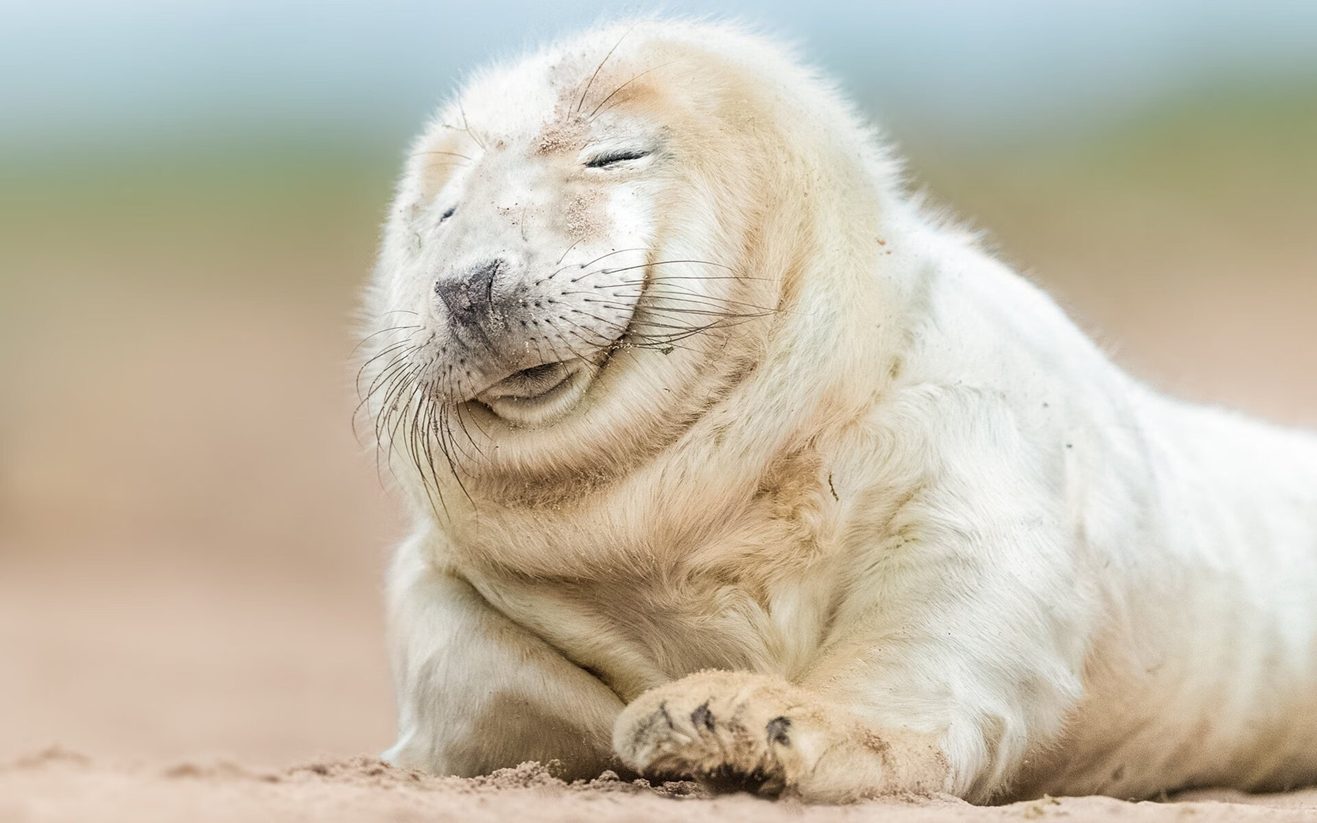 阿尔卡拉斯,拉沃尔杯的热血鏖战与澳网的无畏征途