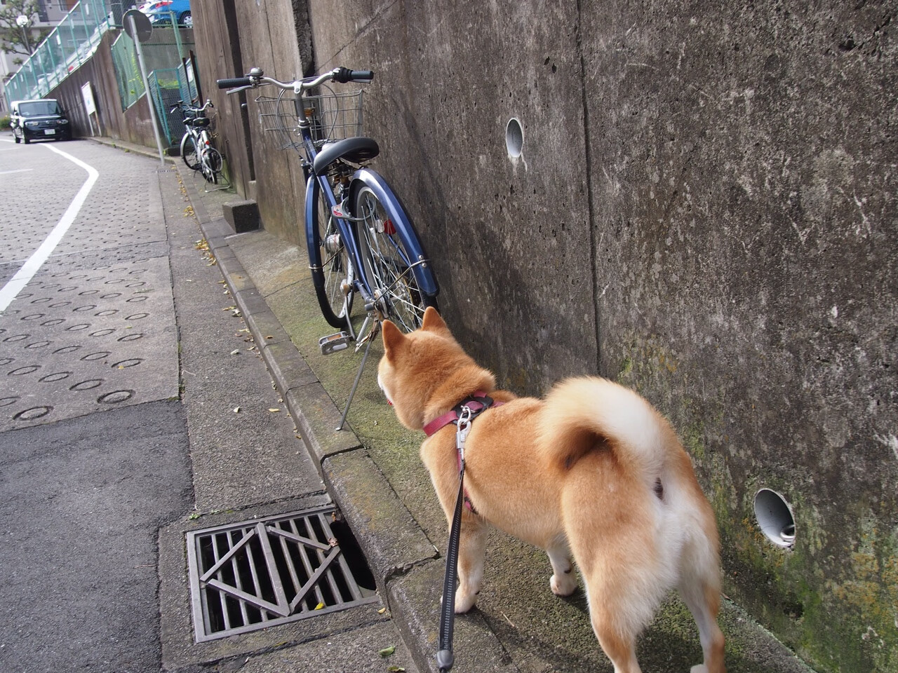 唯一性文章,友谊之巅的博弈,智利火山熔铸胜局,莫德里奇大师绝唱难挽狂澜