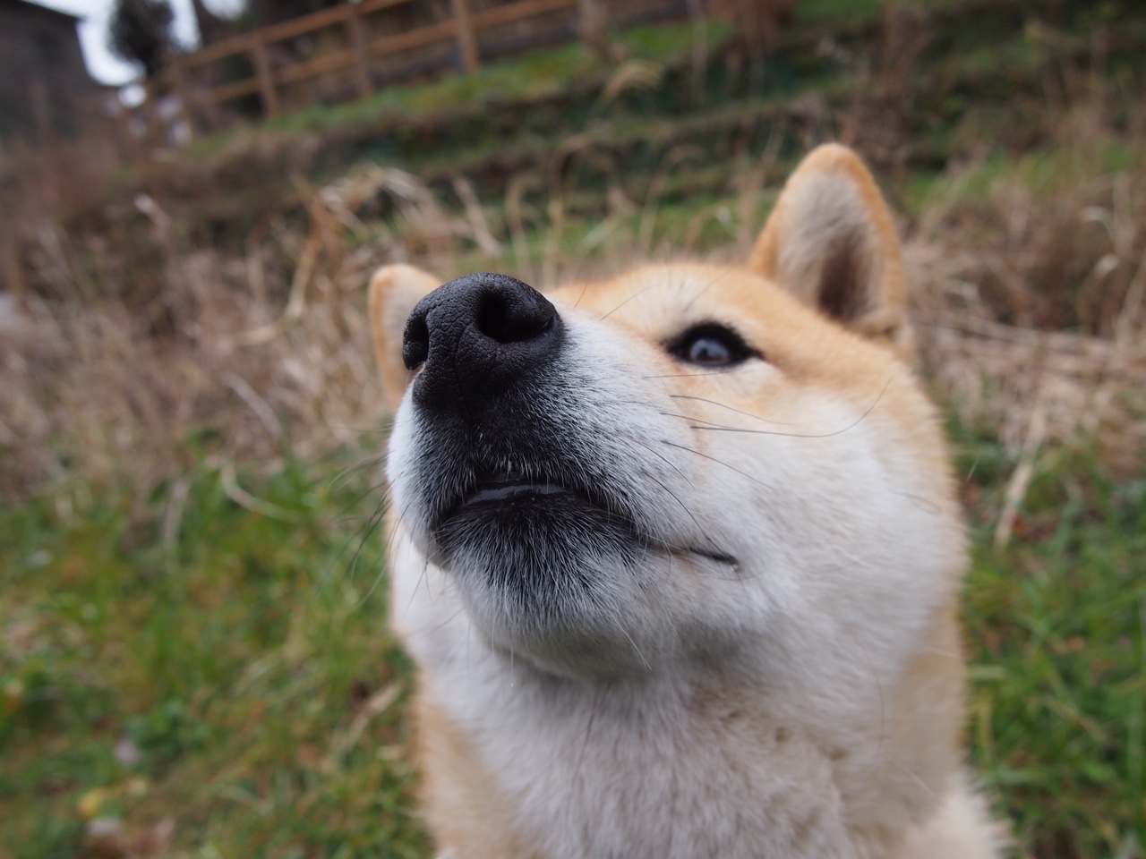 从巴萨到科纳克里,加维一记非常规助攻如何导演几内亚对尼斯的惊天冷门
