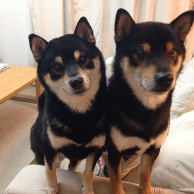 唯一通道,黄喜灿刺破安哥拉防线的奥运密钥