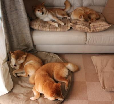 当格林张开翅膀，一位终结者如何将友谊赛变成个人征服场