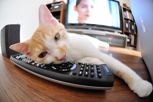 伦纳德50分神话续写！太阳超远三分绝杀广东，跨联盟世纪之战诞生新传奇