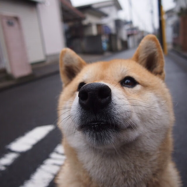 隔空对弈，当文班亚马的无解题摆在新疆队面前