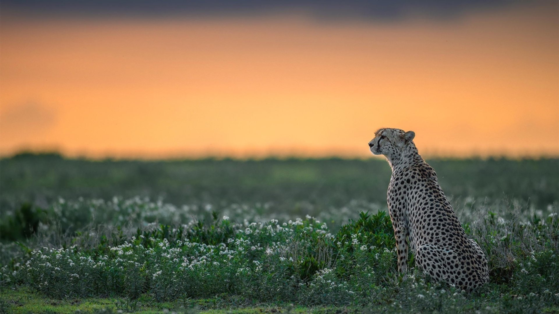通往圣地的试炼，拉文在波特兰的逆转让奥运门票触手可及