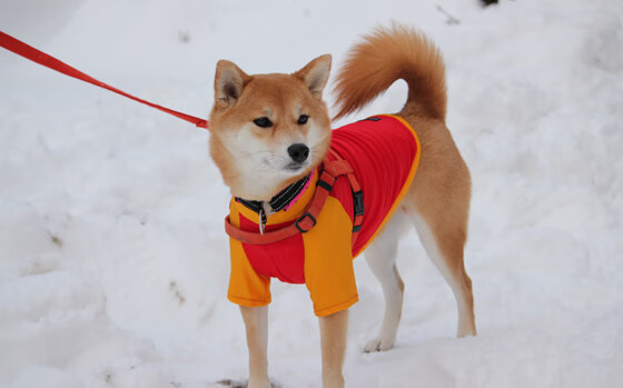 爱游戏APP-开拓者轻取雄鹿，爱德华兹持续杀伤引领胜利