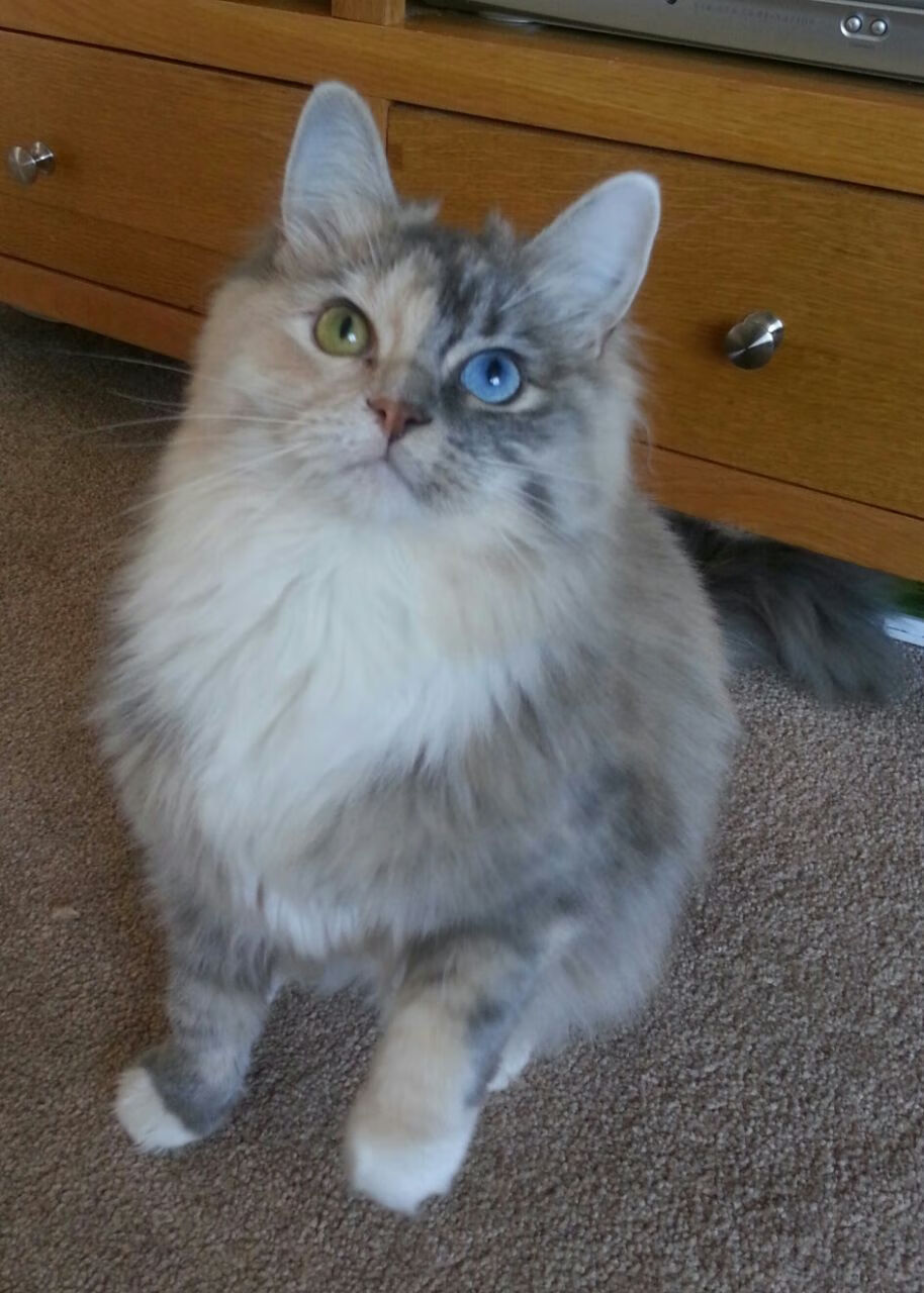 马刺终结者降临,当圣城棋局遇上辽宁铁骑,莫兰特一球定江山