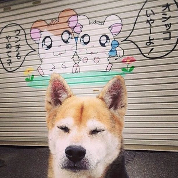 最后一击定江山，英格拉姆如何凭一己之力改写结局，活塞力克浙江！