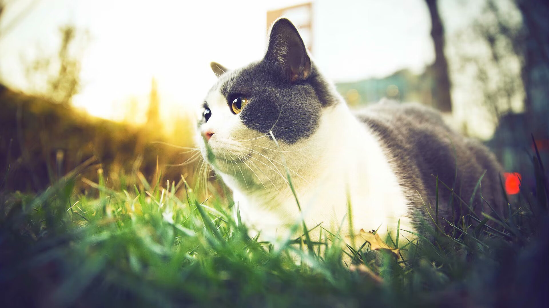 无声巨塔,斯通斯在美加墨的暗夜中,重构中后卫的定义