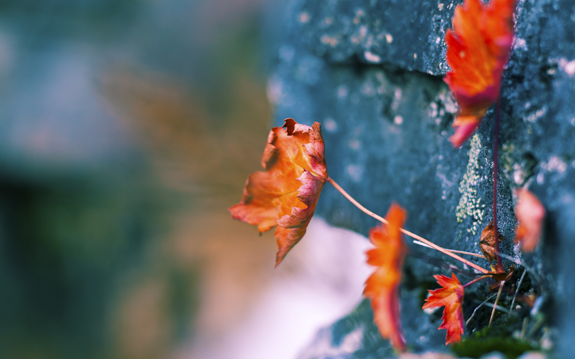 黑马奔腾！勒沃库森毒破圣西罗，一场改写2026世界杯版图的爆冷